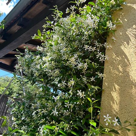 Apartmani Grguric Kornić المظهر الخارجي الصورة