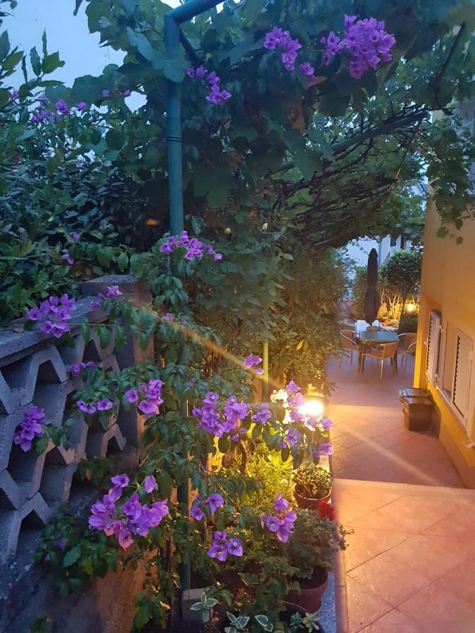 Apartmani Grguric Kornić المظهر الخارجي الصورة