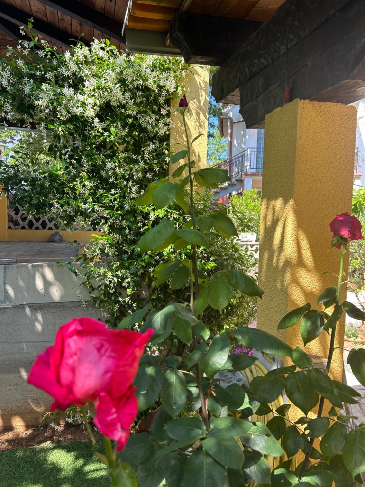 Apartmani Grguric Kornić المظهر الخارجي الصورة