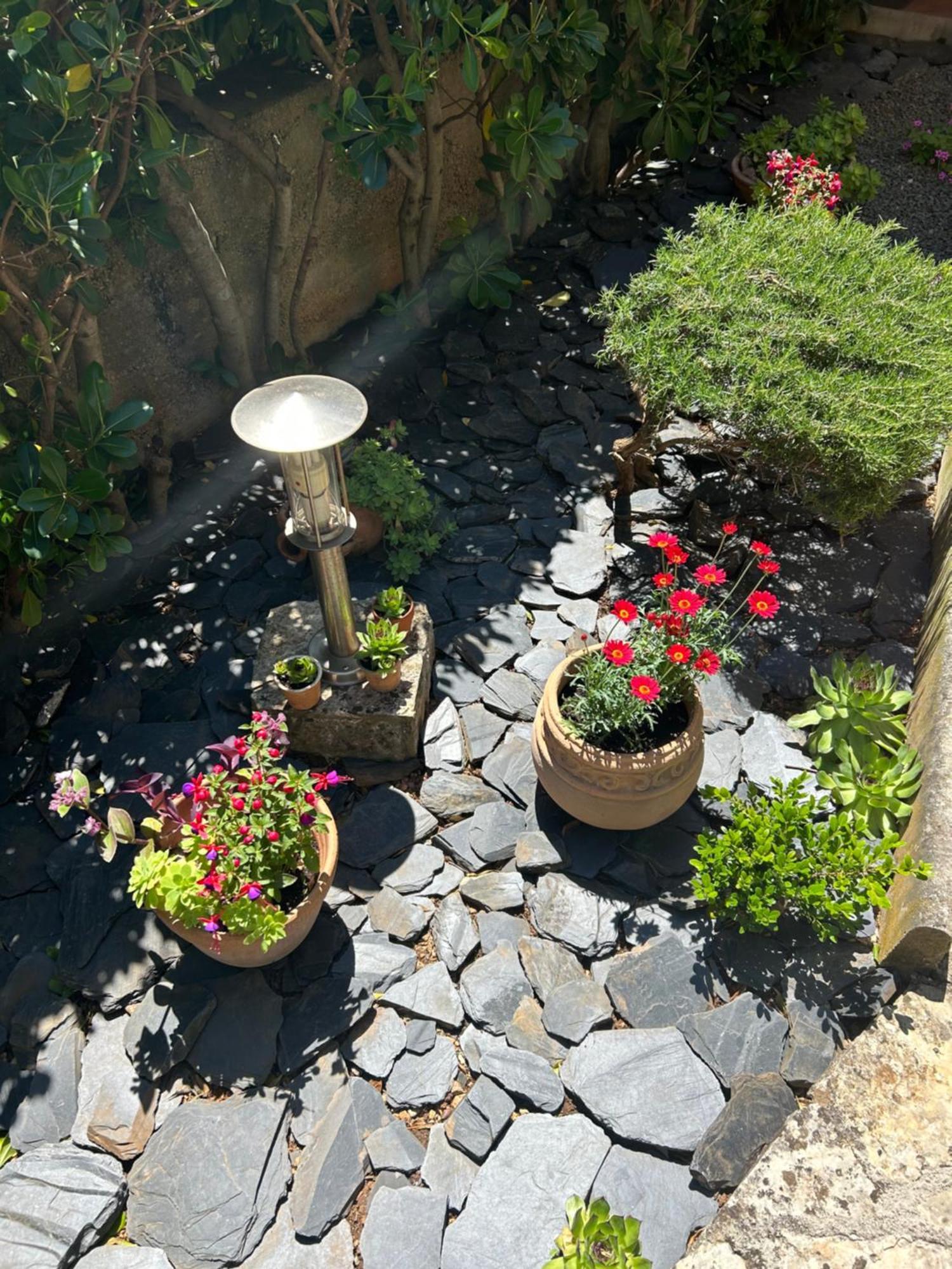Apartmani Grguric Kornić المظهر الخارجي الصورة